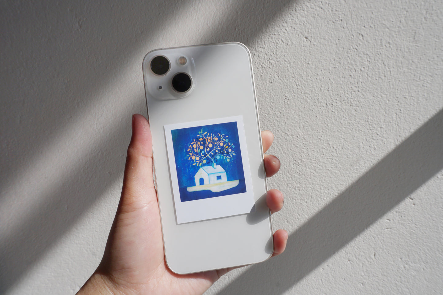 Magical house polaroid