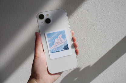 Polaroid paintings