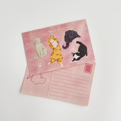 Meow Postcard