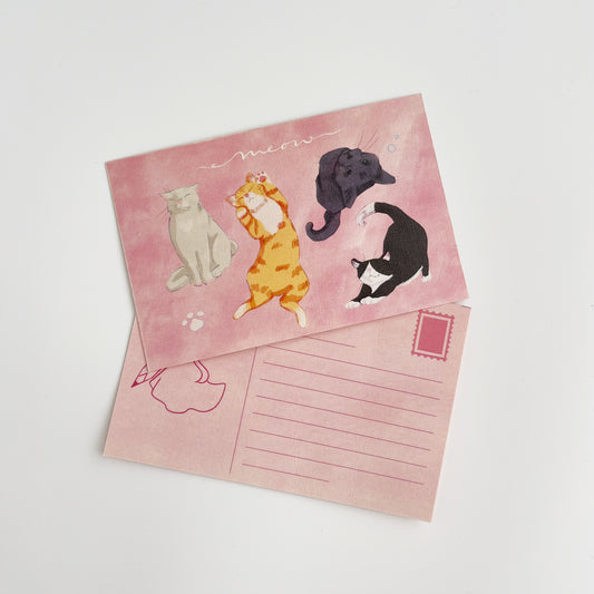 Meow Postcard