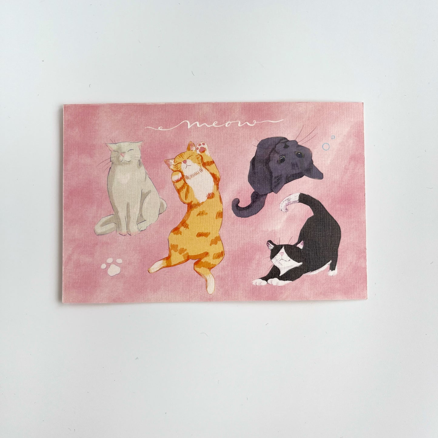 Meow Postcard