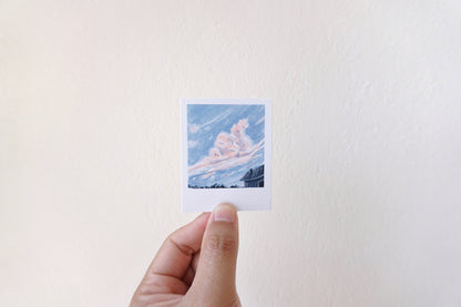 Polaroid paintings
