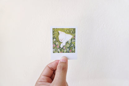 Polaroid paintings
