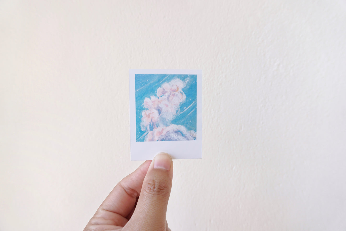 Polaroid paintings